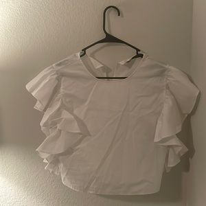 Zara Basics Collection US (S)
